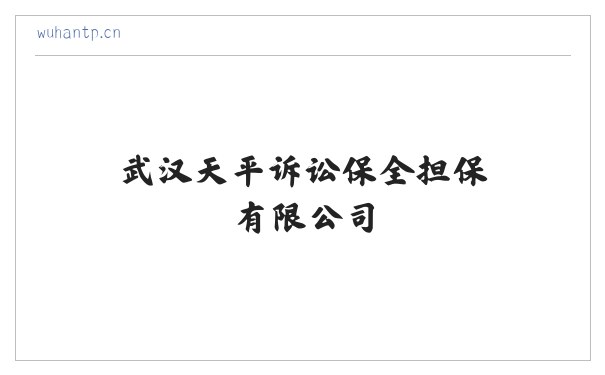 武汉天平诉讼保全担保有限公司 缩略图